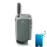 Motorola V60t (color)